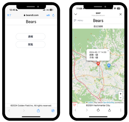 Bears＿mobile3